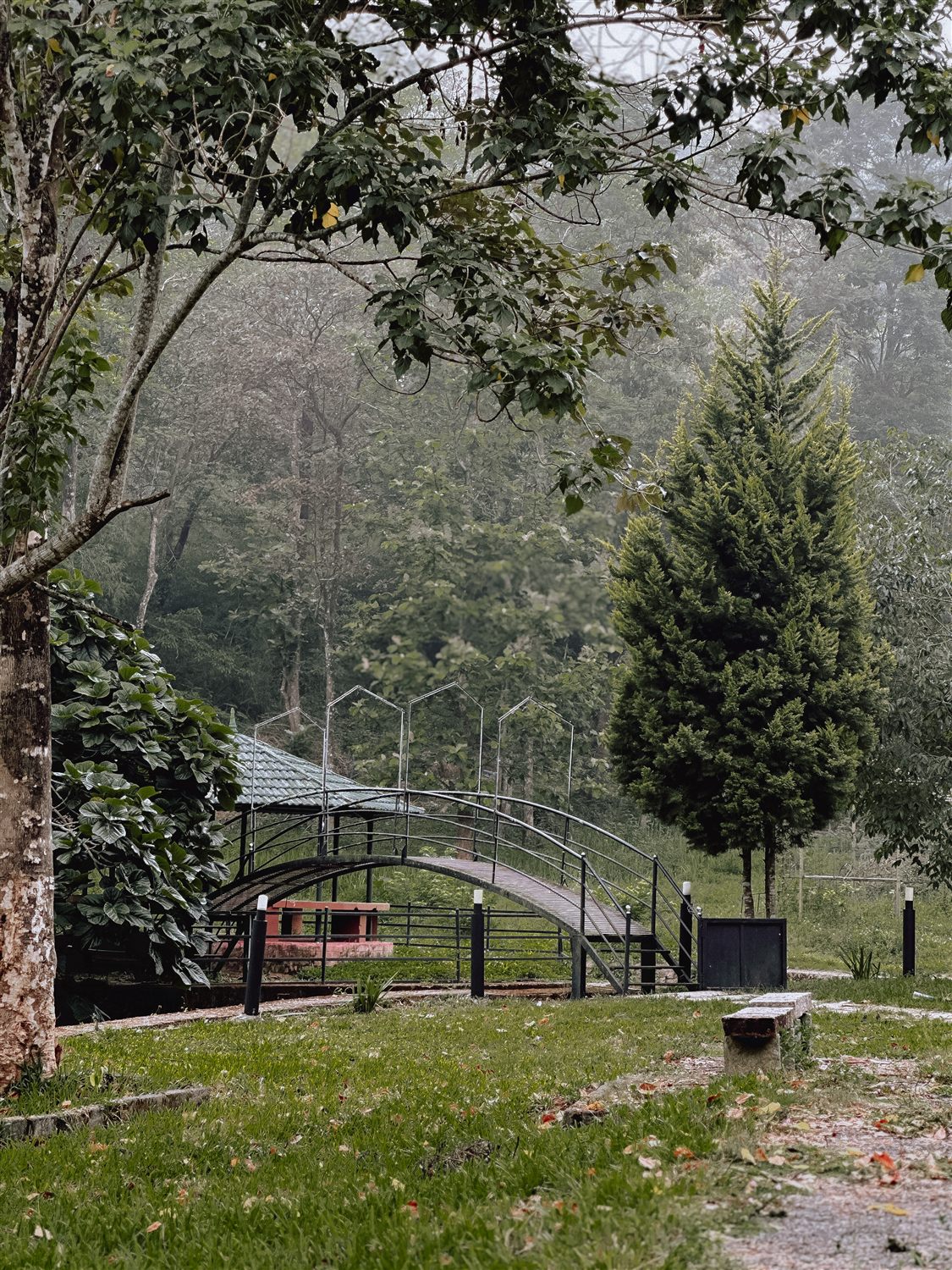 Small arched bridge in the resort garden