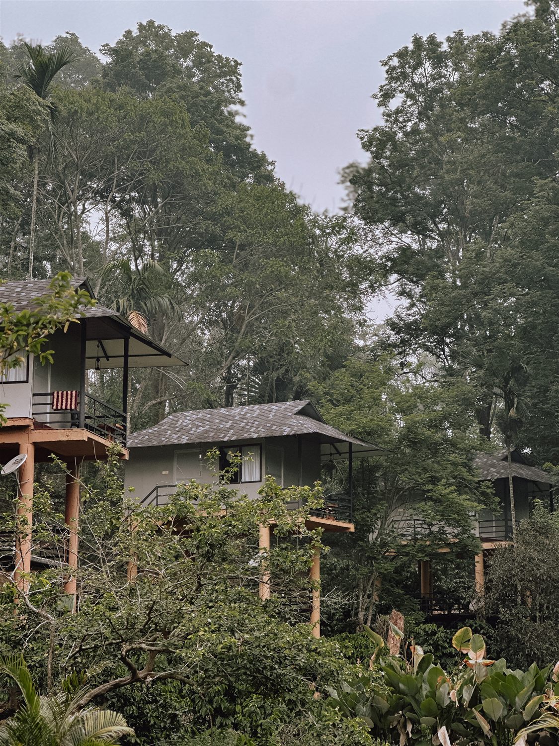 Multiple cottages surrounded by dense forest