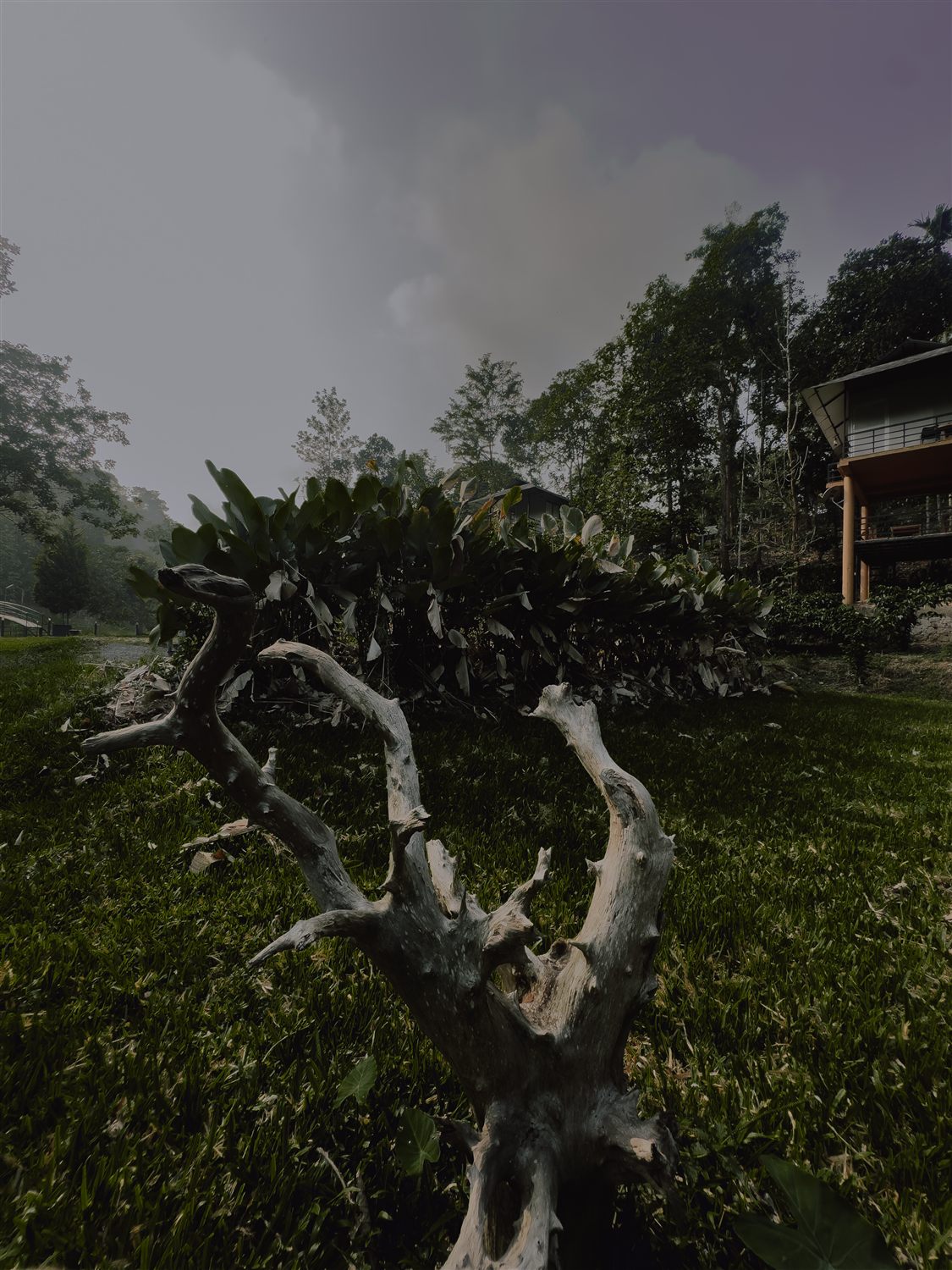 Garden sculpture and lawn at Golpeteo Resort