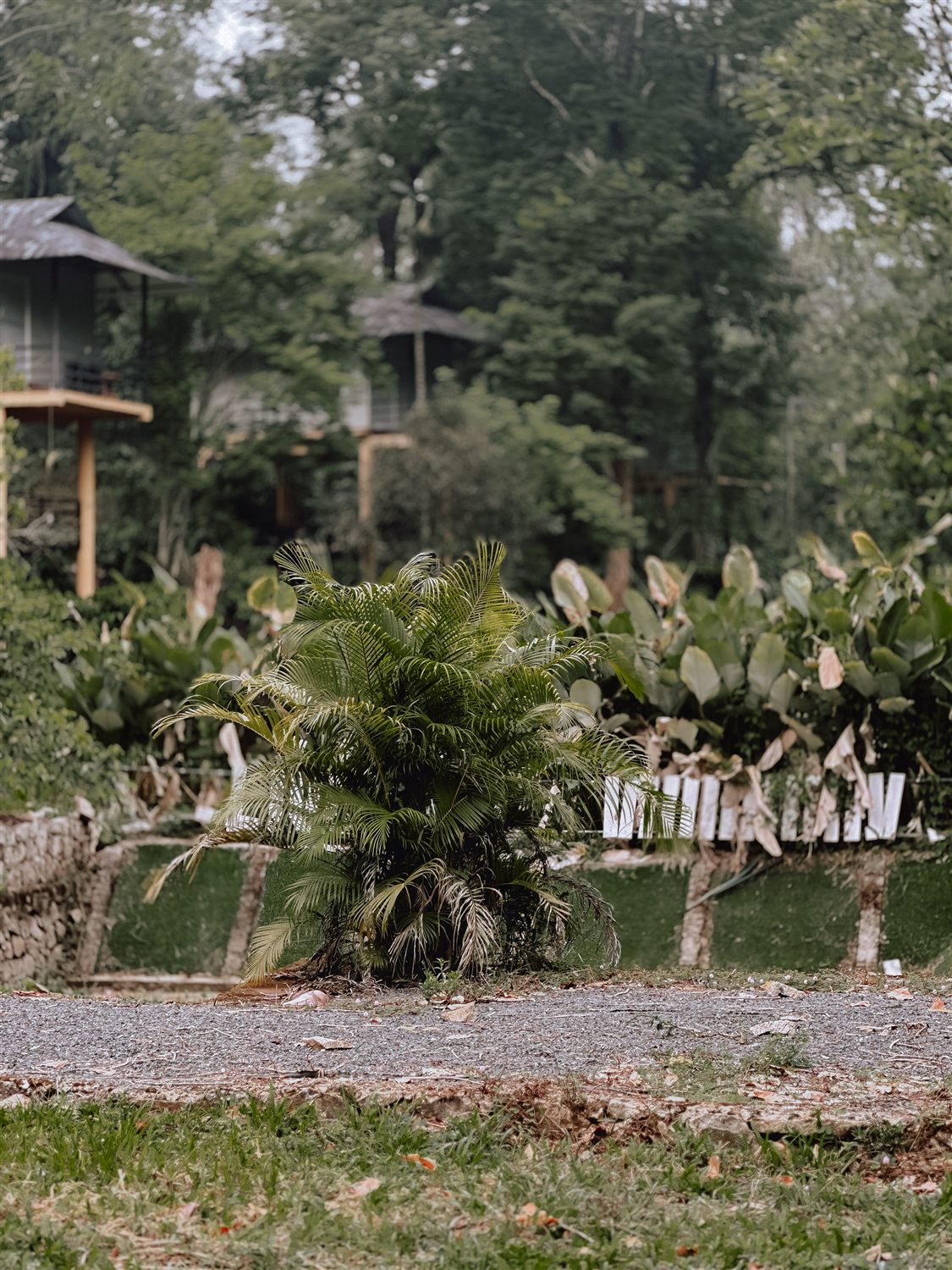 Green garden and pond area inside the resort